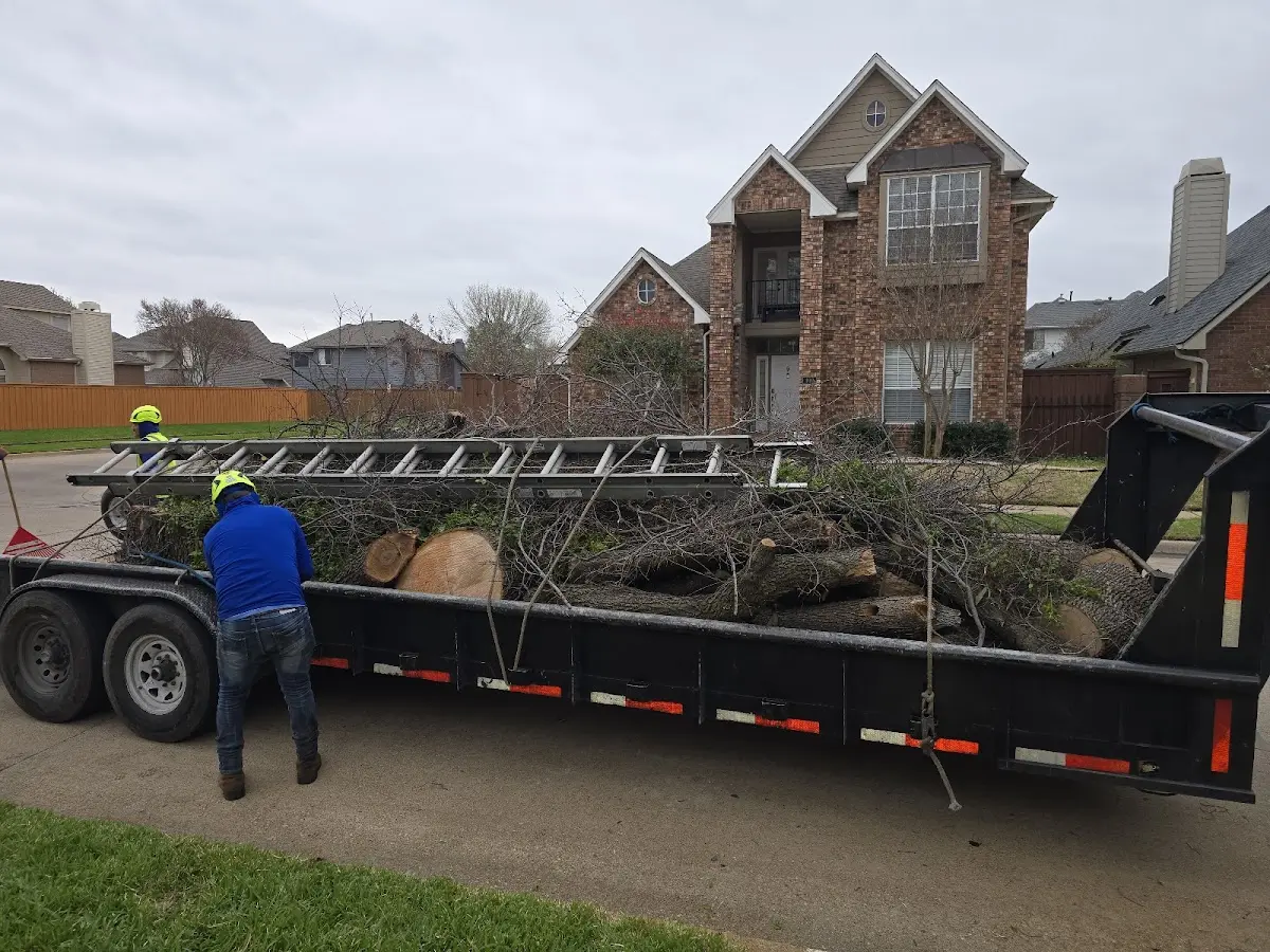 Expert Lot Clearing with proper safety equipment in Nancy
